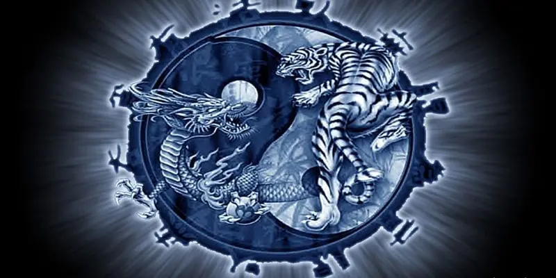 Kinh nghiệm chơi Long Hổ không thua